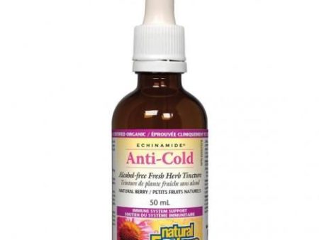 Natural factors - echinamide anti-cold alcohol free -fruits - 50 ml For Sale