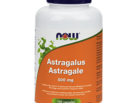 Now - astragalus 500mg -100 vcaps For Discount