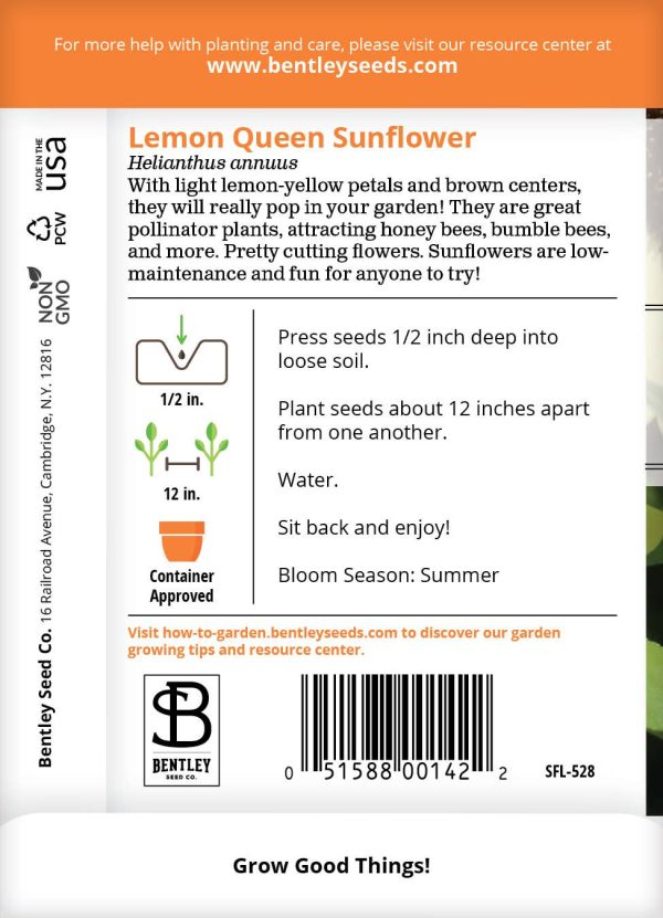 Sunflower-Lemon Queen For Sale