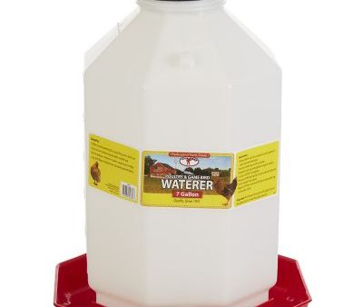 Little Giant 7 Gallon Plastic Poultry Waterer Online