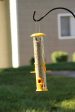 Ashman Bird Feeder, Metal Top and Bottom, Spacious Design, Attractive & Long Lasting For Sale