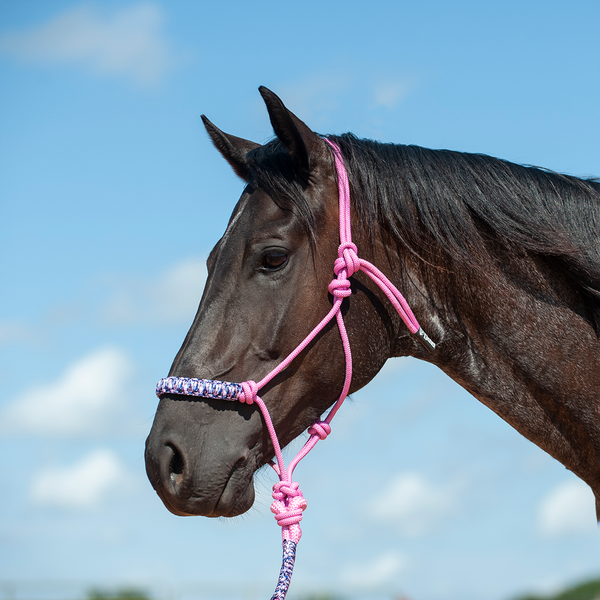 Cashel Braided Rope Halter & Leadrope Cheap