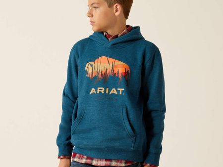 Ariat Boy s Bison Plains Hoodie Discount