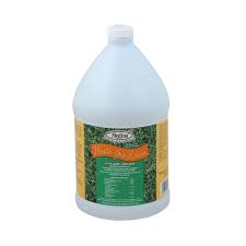 Medina - 1Gal Hasta Gro 12-4-8 Lawn Food Online Hot Sale