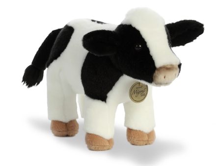 Aurora - Miyoni Holstein Calf on Sale