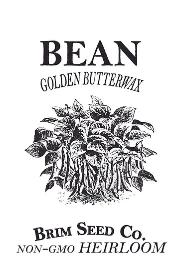 Brim Seed Co. - Golden Butterwax Bush Bean Heirloom Seed on Sale