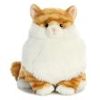 Aurora - Fat Cats Butterball Tabby Online