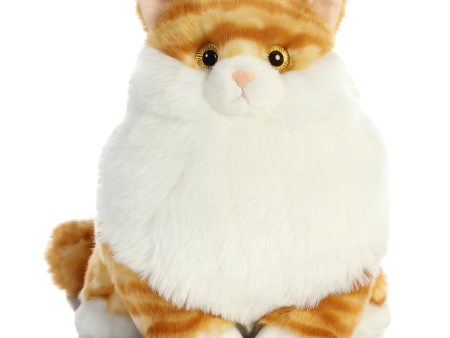 Aurora - Fat Cats Butterball Tabby Online