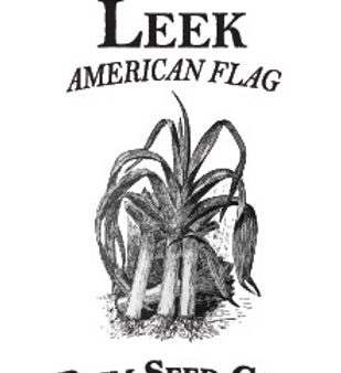 Brim Seed Co. - American Flag Leek Heirloom Seed Online Hot Sale