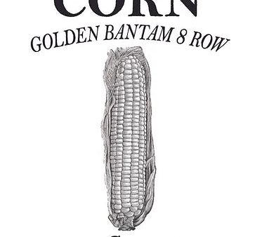 Brim Seed Co. - Golden Bantam 8 Row Corn Seed Hot on Sale