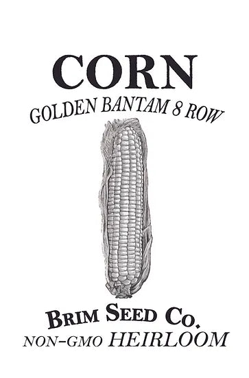 Brim Seed Co. - Golden Bantam 8 Row Corn Seed Hot on Sale