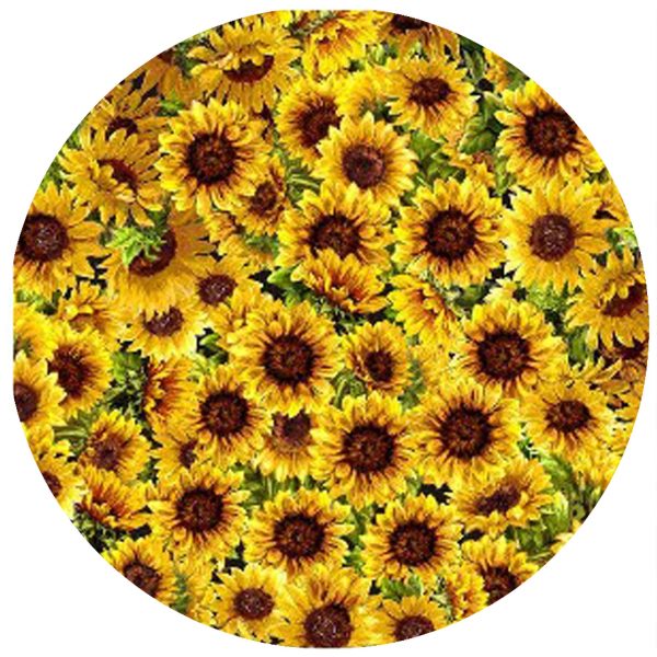 Andreas - Sunflower Jar Opener on Sale