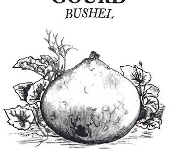 Brim Seed Co. - Bushel Gourd Heirloom Seed Online Hot Sale