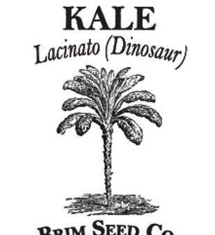 Brim Seed Co. - Lacinato Dinosaur Kale Heirloom Seed on Sale