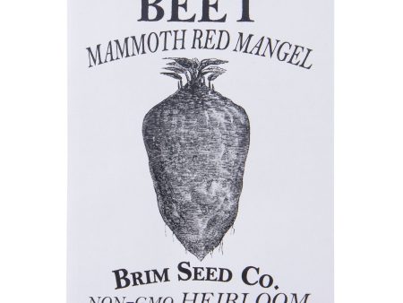 Brim Seed Co. - Mammoth Red Mangel Beet Heirloom Seed For Cheap