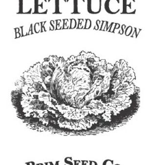 Brim Seed Co. - Black Seeded Simpson Lettuce Greens Heirloom Seed Online