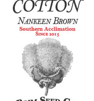 Brim Seed Co. - Southern Acclimated Nankeen Brown Cotton Heirloom Seed For Discount