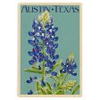 WOOD POSTCARD Austin, Texas, Bluebonnet, Letterpress Sale