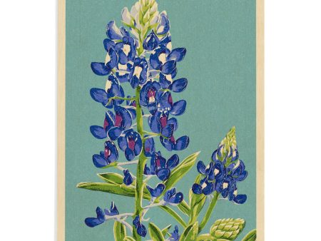 WOOD POSTCARD Austin, Texas, Bluebonnet, Letterpress Sale