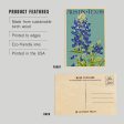 WOOD POSTCARD Austin, Texas, Bluebonnet, Letterpress Sale