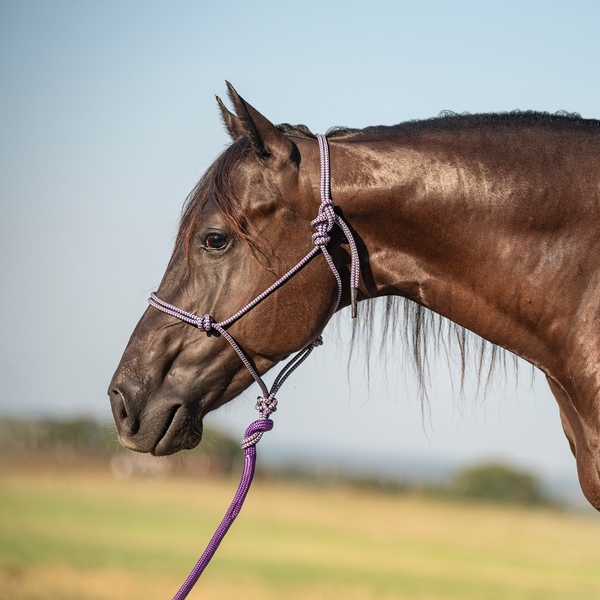 Classic Equine Rope Halter and 9  Lead Rope Hot on Sale