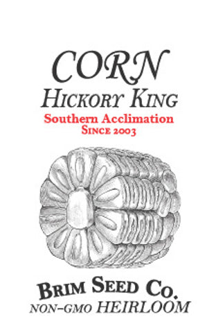 Brim Seed Co. - Southern Acclimated Hickory King Corn Heirloom Seed Discount