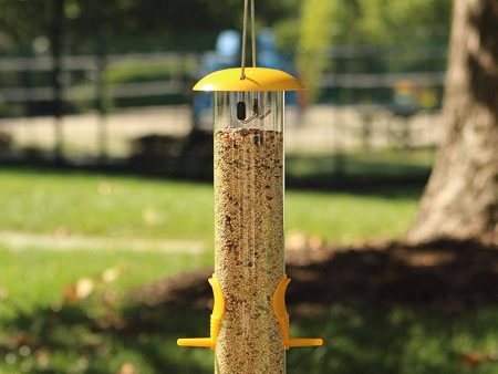 Ashman Bird Feeder, Metal Top and Bottom, Spacious Design, Attractive & Long Lasting For Sale