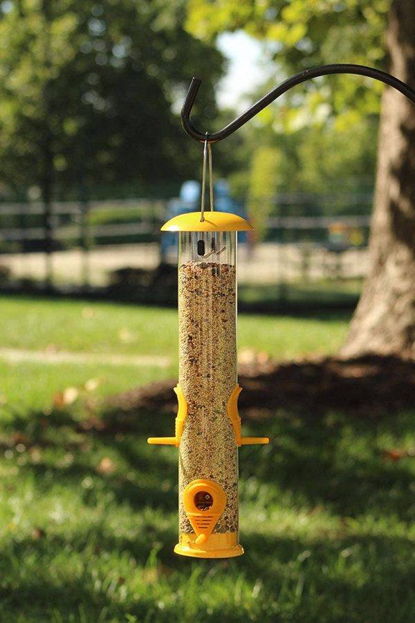 Ashman Bird Feeder, Metal Top and Bottom, Spacious Design, Attractive & Long Lasting For Sale