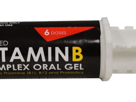 Durvet Vitamin B Complex Oral Gel Online Hot Sale