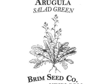 Brim Seed Co. - Arugula Salad Greens Heirloom Seed For Cheap