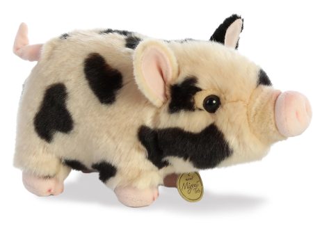 Aurora - Miyoni Pot Bellied Pig For Discount