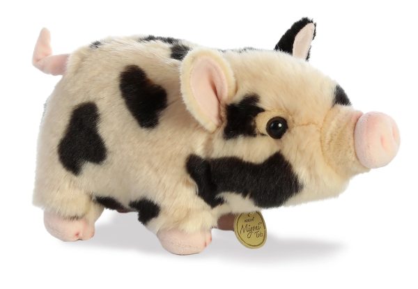 Aurora - Miyoni Pot Bellied Pig For Discount