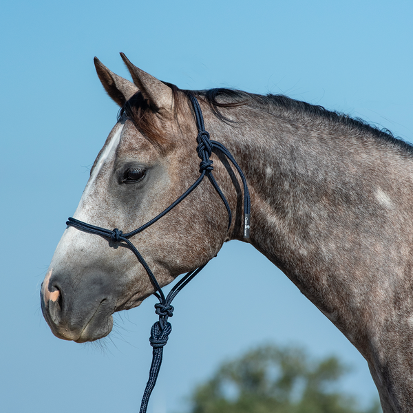 Classic Equine Rope Halter and 9  Lead Rope Hot on Sale