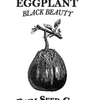 Brim Seed Co. - Black Beauty Eggplant Heirloom Seed Online Hot Sale