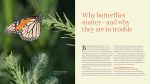 Gardening for Butterflies: How You Can Attract and Protect Beautiful, Beneficial Insects - by The Xerces Society Online