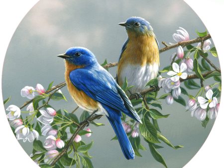 Andreas - HB Spring Blossom Bluebirds Jar Opener Supply