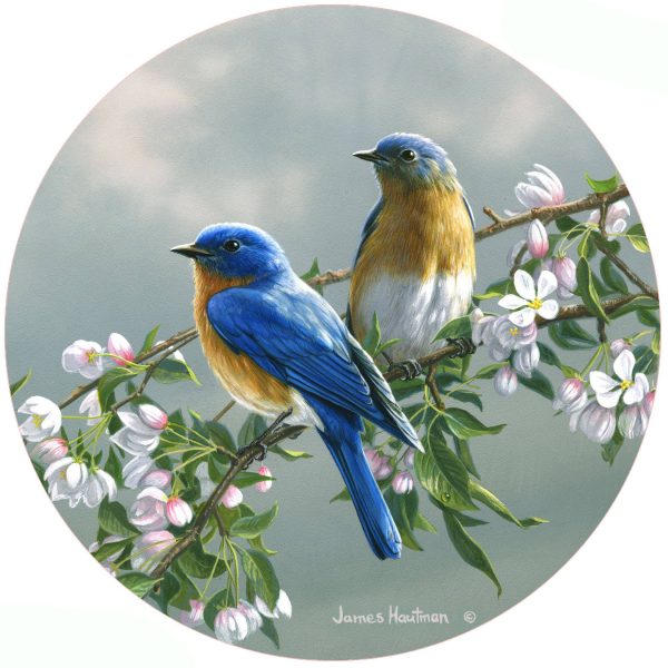 Andreas - HB Spring Blossom Bluebirds Jar Opener Supply