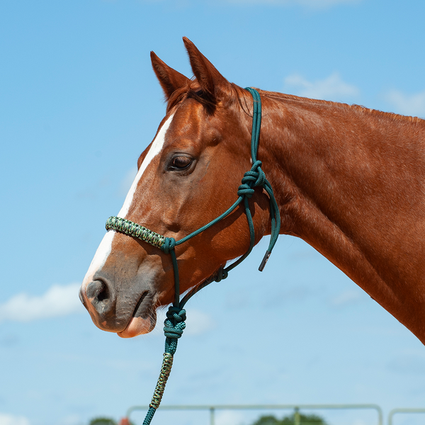 Cashel Braided Rope Halter & Leadrope Cheap