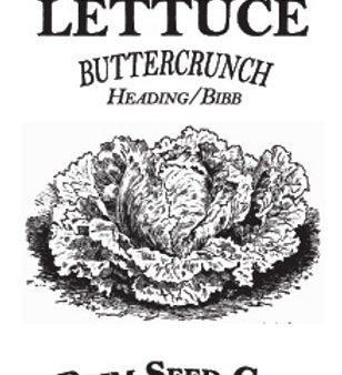 Brim Seed Co. - Buttercrunch Bibb Lettuce Greens Seed Discount