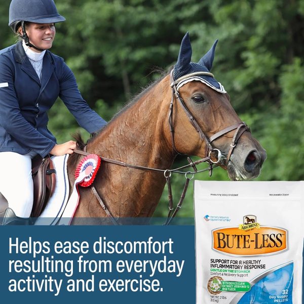 Absorbine Bute-Less® Comfort & Recovery Supplement Pellets 2lb Cheap