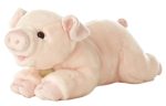 Aurora - Miyoni Pig Sale