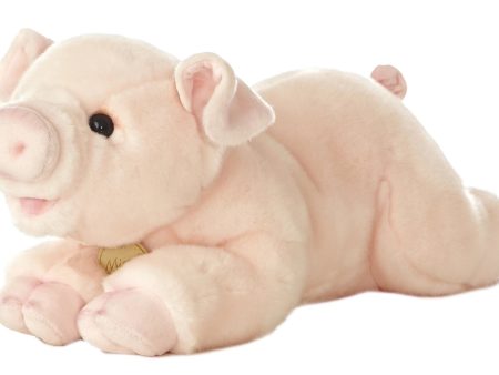 Aurora - Miyoni Pig Sale