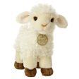 Aurora - Miyoni Baby Lamb Online