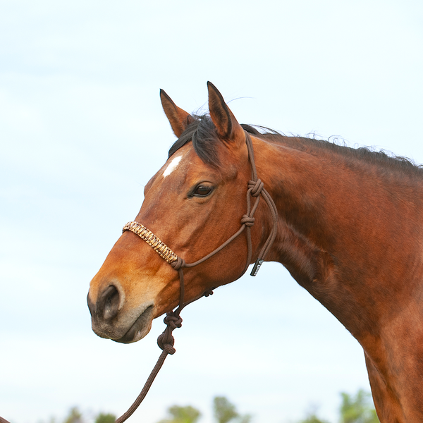 Cashel Braided Rope Halter & Leadrope Cheap