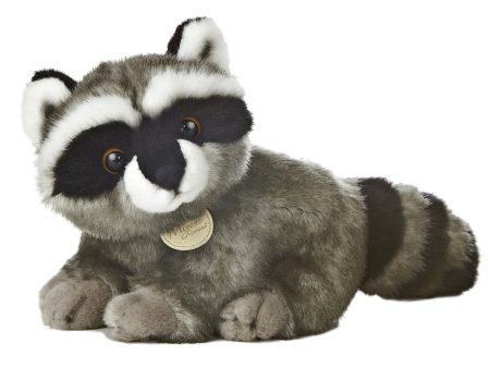 Aurora - Raccoon Discount