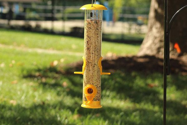 Ashman Bird Feeder, Metal Top and Bottom, Spacious Design, Attractive & Long Lasting For Sale