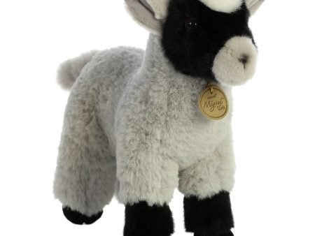 Aurora - Miyoni Goat Kid Online now