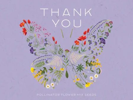 Bentley Seed Co. - Thank You Butterfly Pollinator Flower Mix Seed Fashion