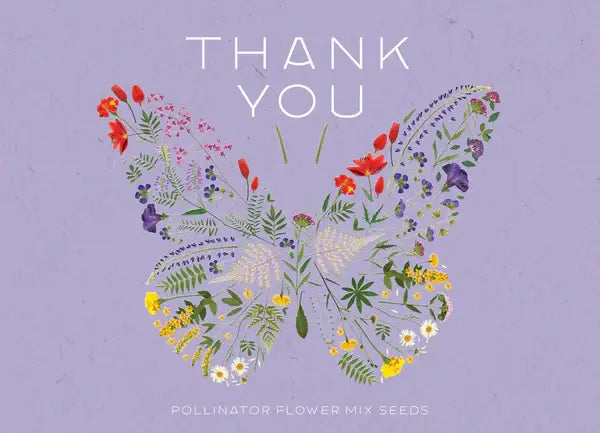 Bentley Seed Co. - Thank You Butterfly Pollinator Flower Mix Seed Fashion