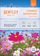 Bentley Seed Co. - Cosmos Sensation Mixed Colors-Cosmos Bipinnatus Online Hot Sale